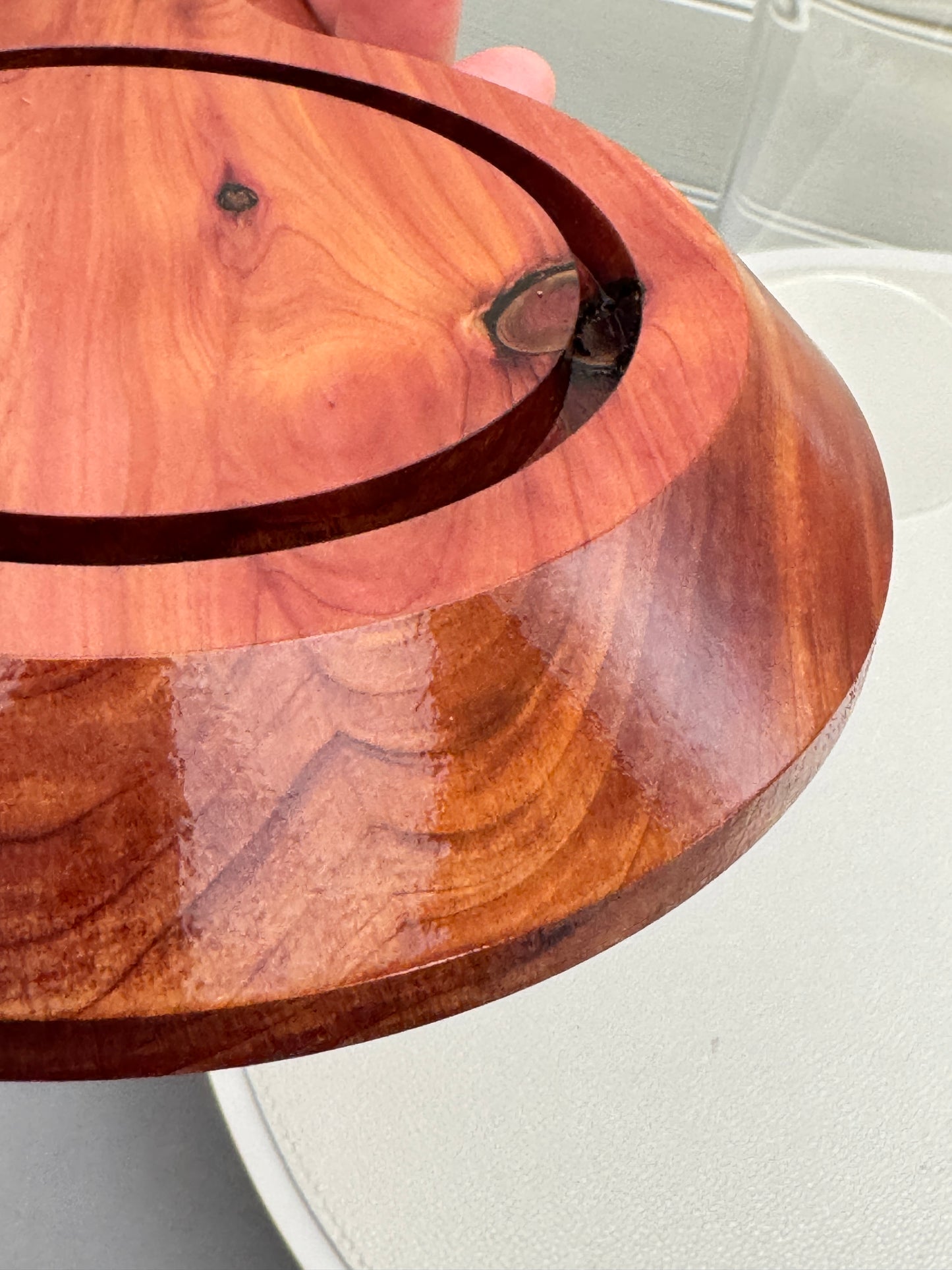 Large Cedar Showcase Display with 2 glass domes